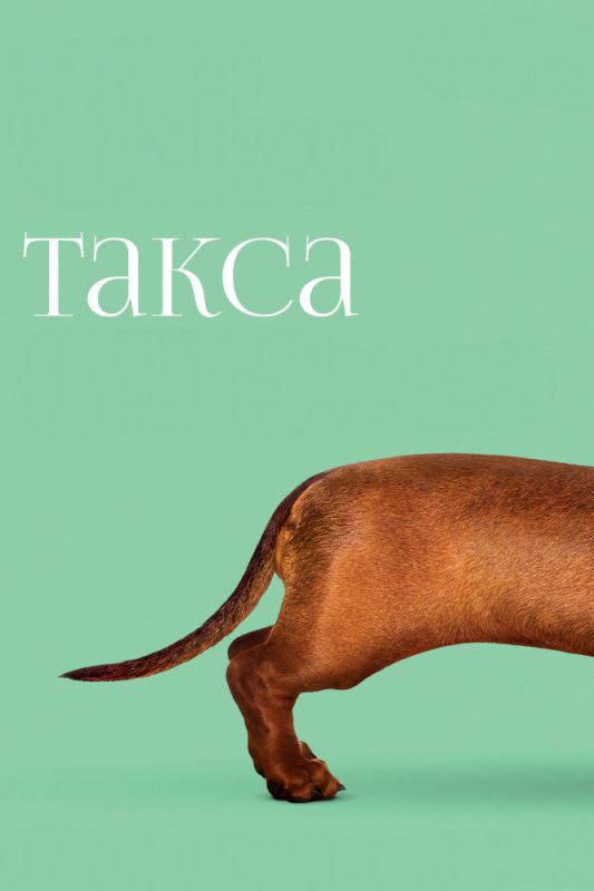 Скачать Такса