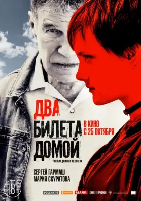 Скачать Два билета домой торрентом