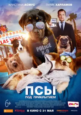 Скачать Псы под прикрытием торрентом