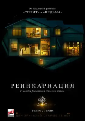 Скачать Реинкарнация торрентом
