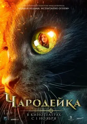 Скачать Чародейка торрентом