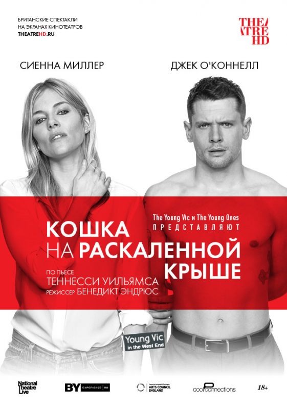 Скачать Кошка на раскалённой крыше торрентом