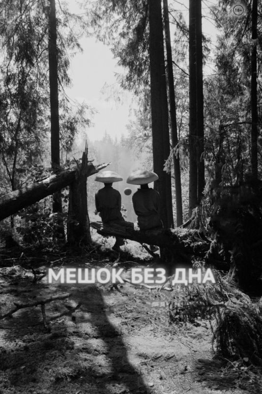 Скачать Мешок без дна (2017)