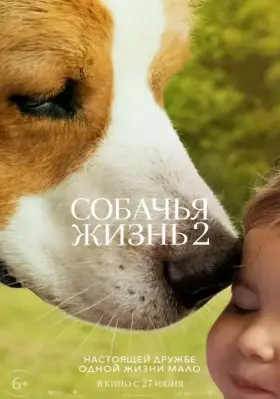 Скачать Собачья жизнь 2 торрентом