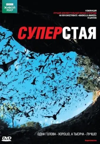 Скачать BBC: Суперстая