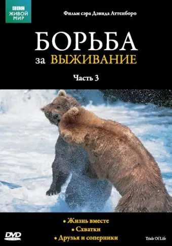 Скачать BBC: Борьба за выживание