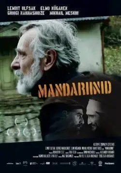 Скачать Мандарины (2013)