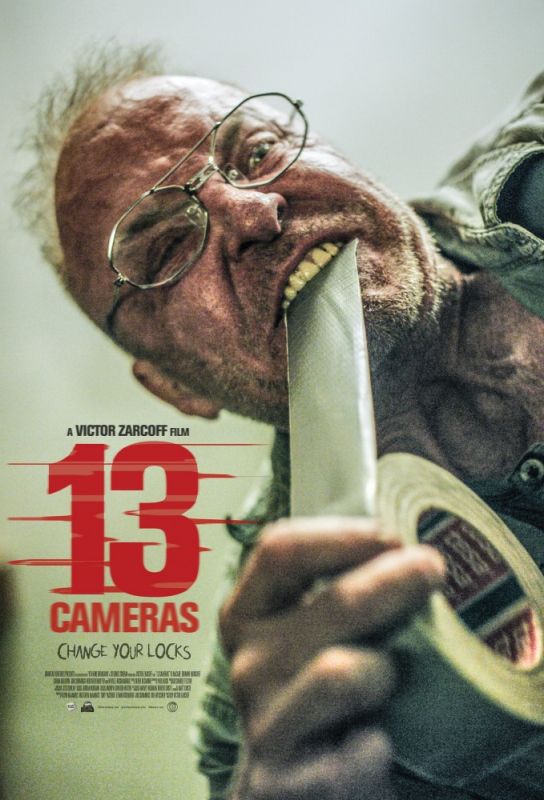 Скачать 13 камер