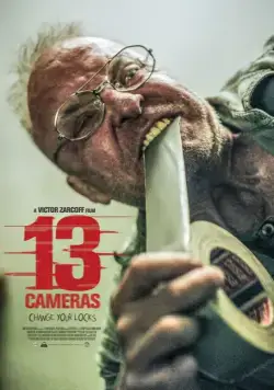 Скачать 13 камер (2015)