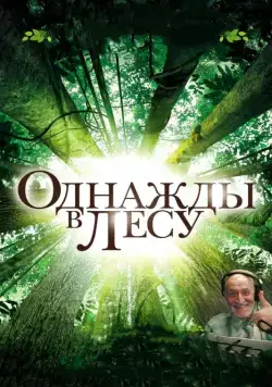 Скачать Однажды в лесу (2013)