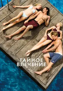 Скачать Тайное влечение (2012)