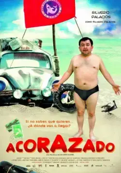 Скачать Броненосец (2010)