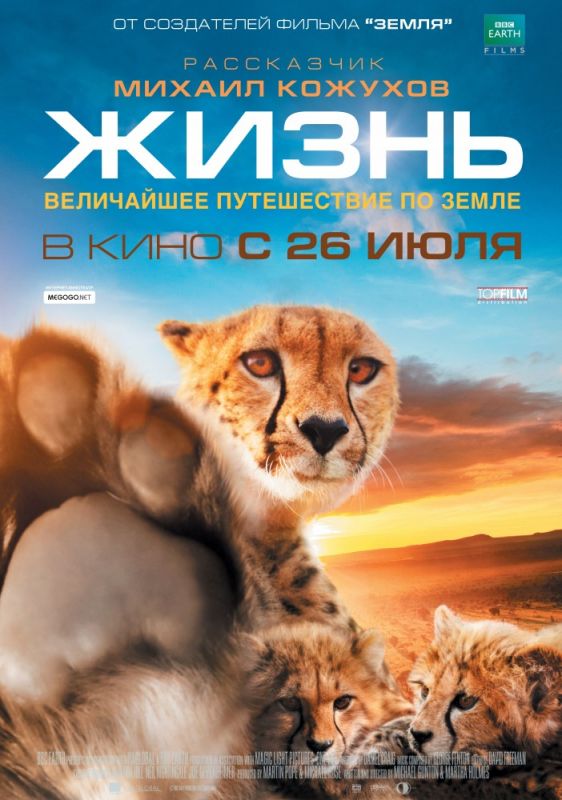 Скачать Жизнь