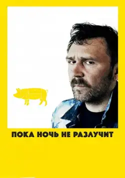 Скачать Пока ночь не разлучит (2012)