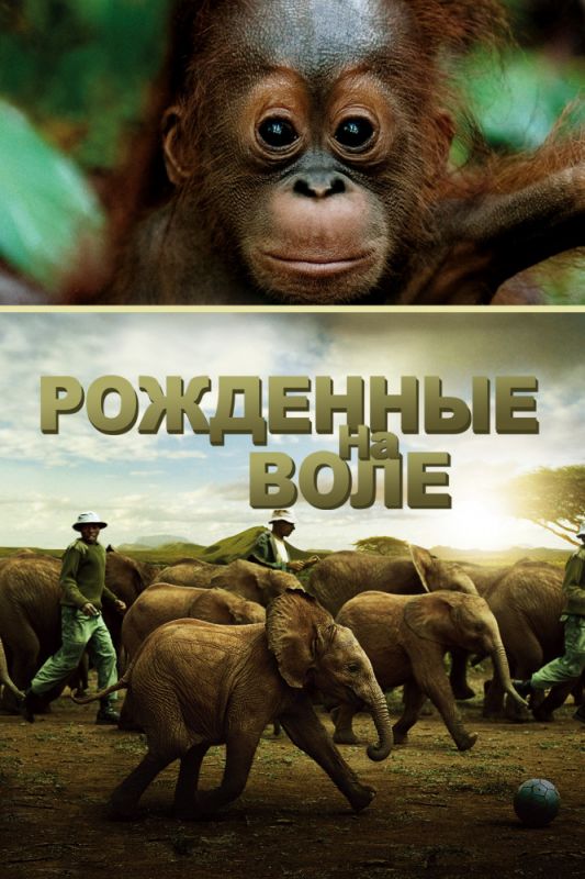 Скачать Рожденные на воле (2011)