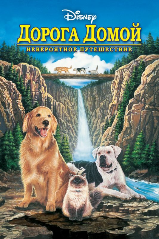 Скачать Дорога домой: Невероятное путешествие (1993)