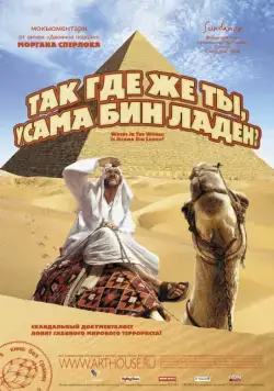 Скачать Так где же ты, Усама бин Ладен? (2008)