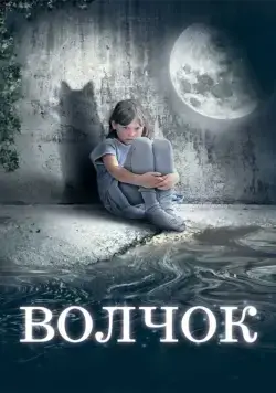 Скачать Волчок (2009)