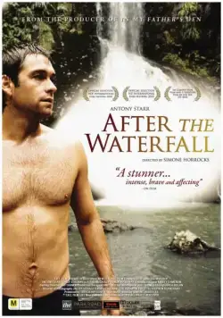 Скачать После водопада (2010)
