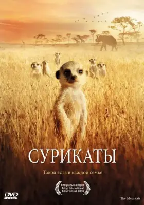 Скачать Сурикаты
