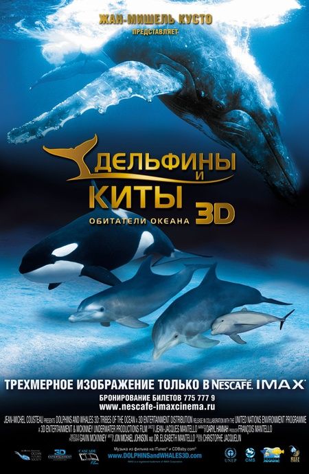 Скачать Дельфины и киты 3D