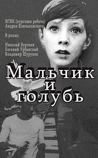 Скачать Мальчик и голубь