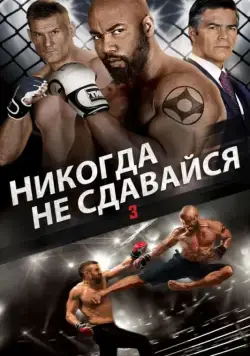Скачать Никогда не сдавайся 3 (2016)