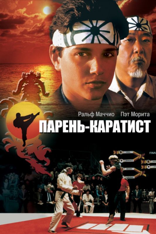 Скачать Парень-каратист