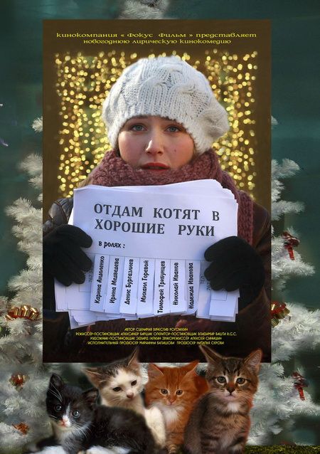 Скачать Отдам котят в хорошие руки