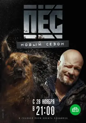 Пес скачать торрент или смотреть онлайн
