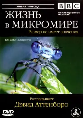 Скачать BBC: Жизнь в микромире