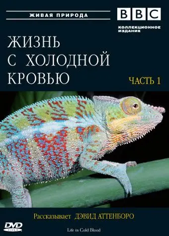 Скачать BBC: Жизнь с холодной кровью