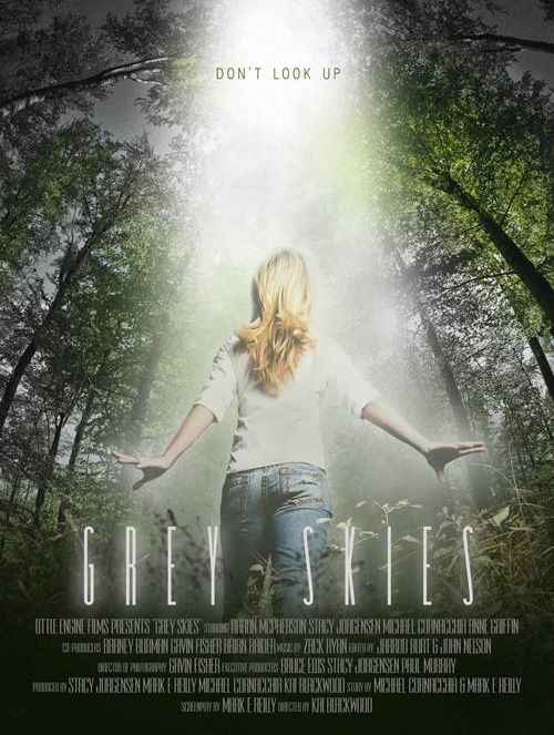 Скачать Серые небеса (2010)