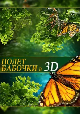 Скачать Полет бабочки 3D