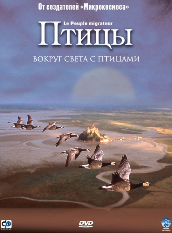 Скачать Птицы