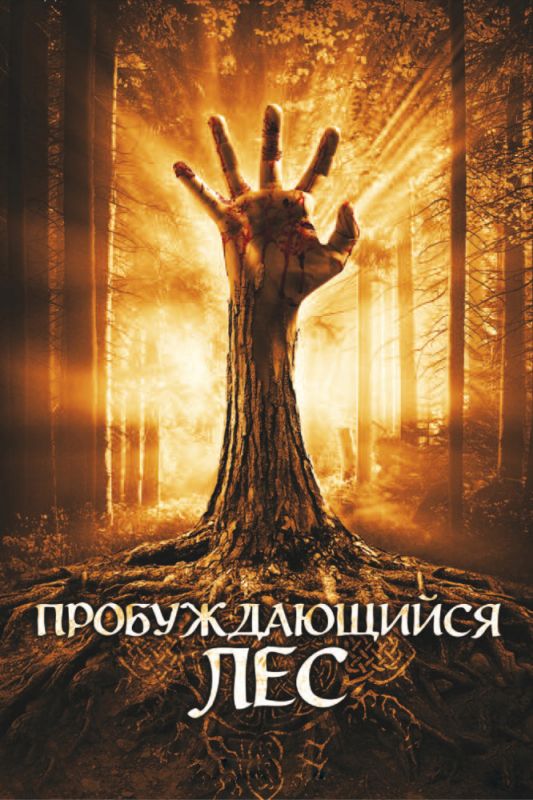 Скачать Пробуждающийся лес
