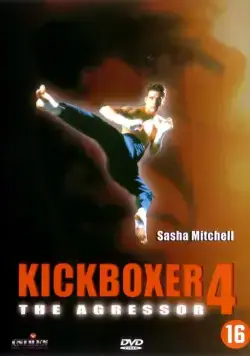 Кикбоксер 4: Агрессор (1994) торрент