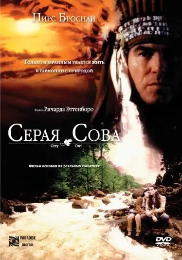 Серая сова (1998) торрент