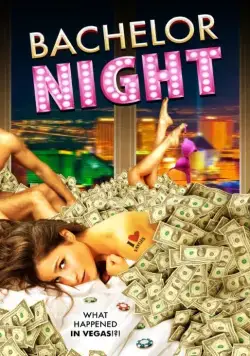 Скачать Bachelor Night (2014) через торрент бесплатно