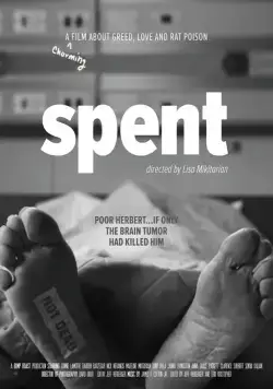 Удачно потраченные деньги (2017) торрент