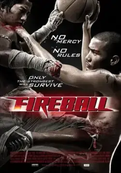 Файрбол (2009) торрент