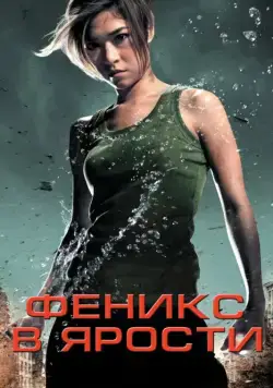 Скачать Феникс в ярости (2009) через торрент бесплатно