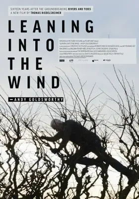 Скачать Leaning Into the Wind: Andy Goldsworthy