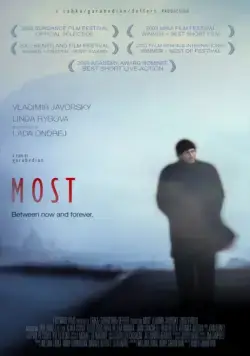 Мост (2003) торрент