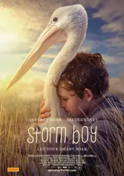 Штормовой мальчик (2019) торрент