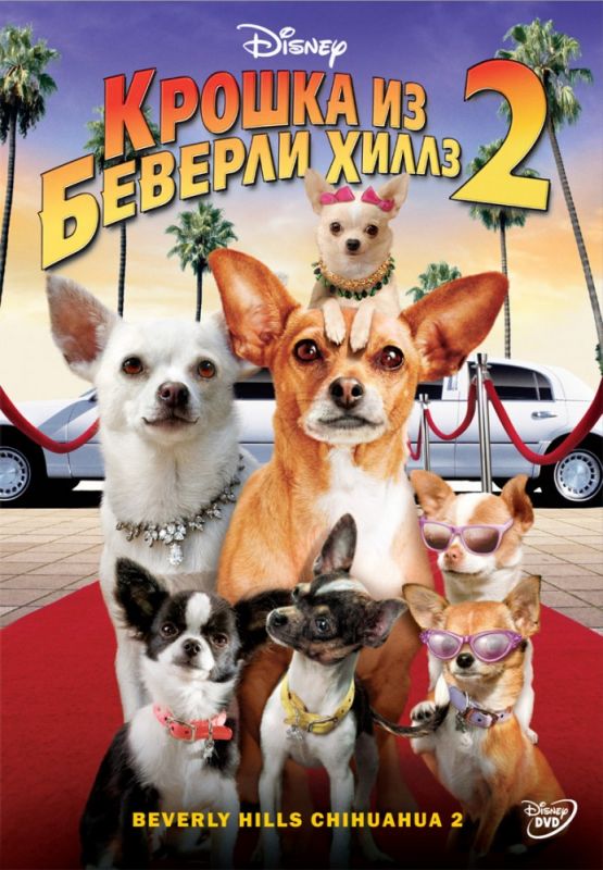Скачать Крошка из Беверли-Хиллз 2 (2010)