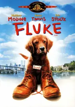 Флюк (1995) торрент