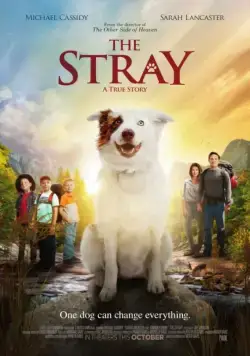 The Stray (2017) через торрент бесплатно Скачать The Stray (2017) через торрент бесплатно