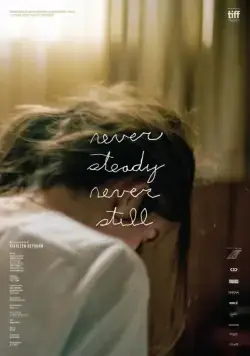 Never Steady, Never Still (2017) торрент