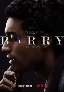 Скачать Барри (2016) через торрент бесплатно